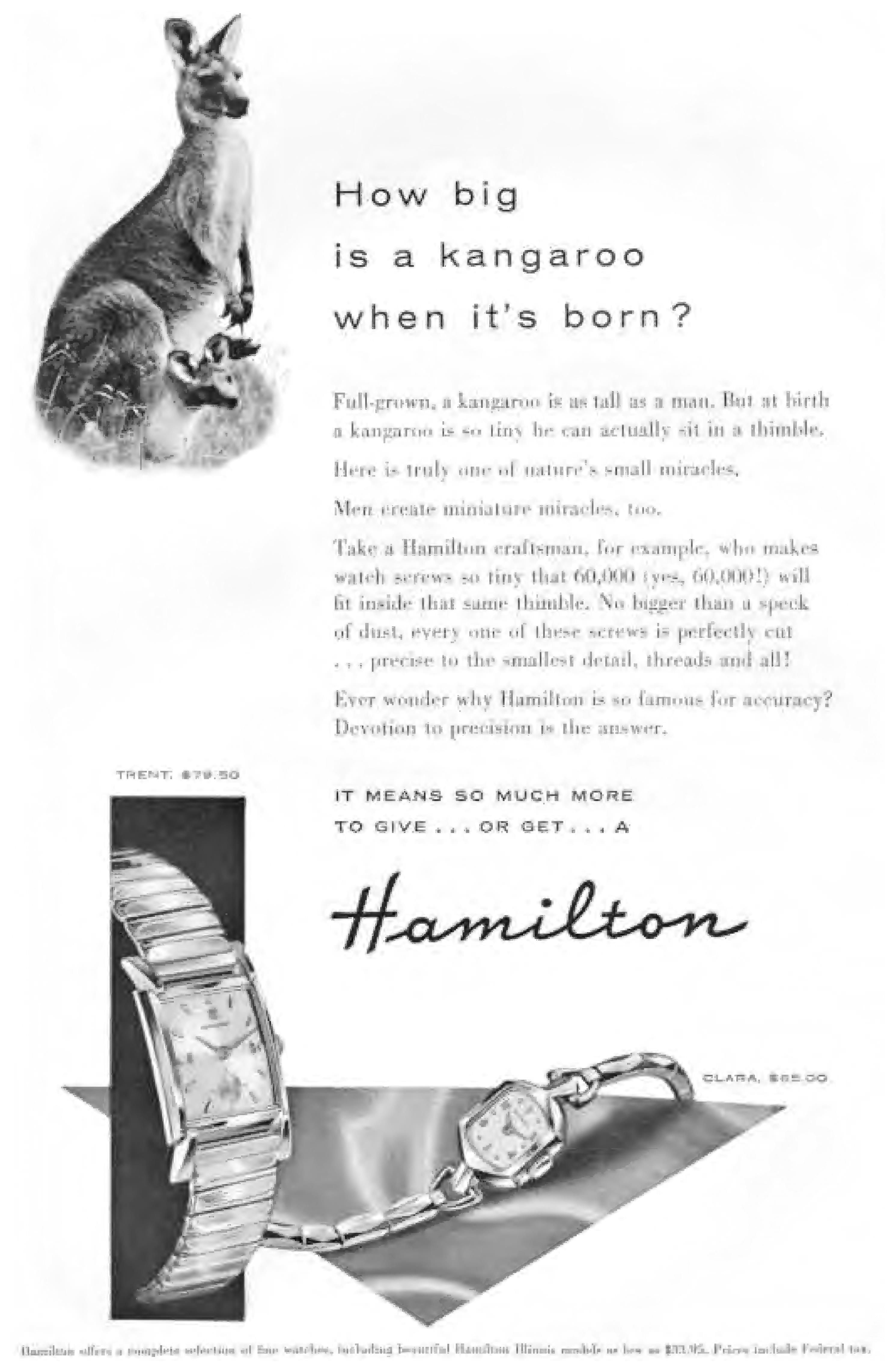Hamilton 1955 20.jpg